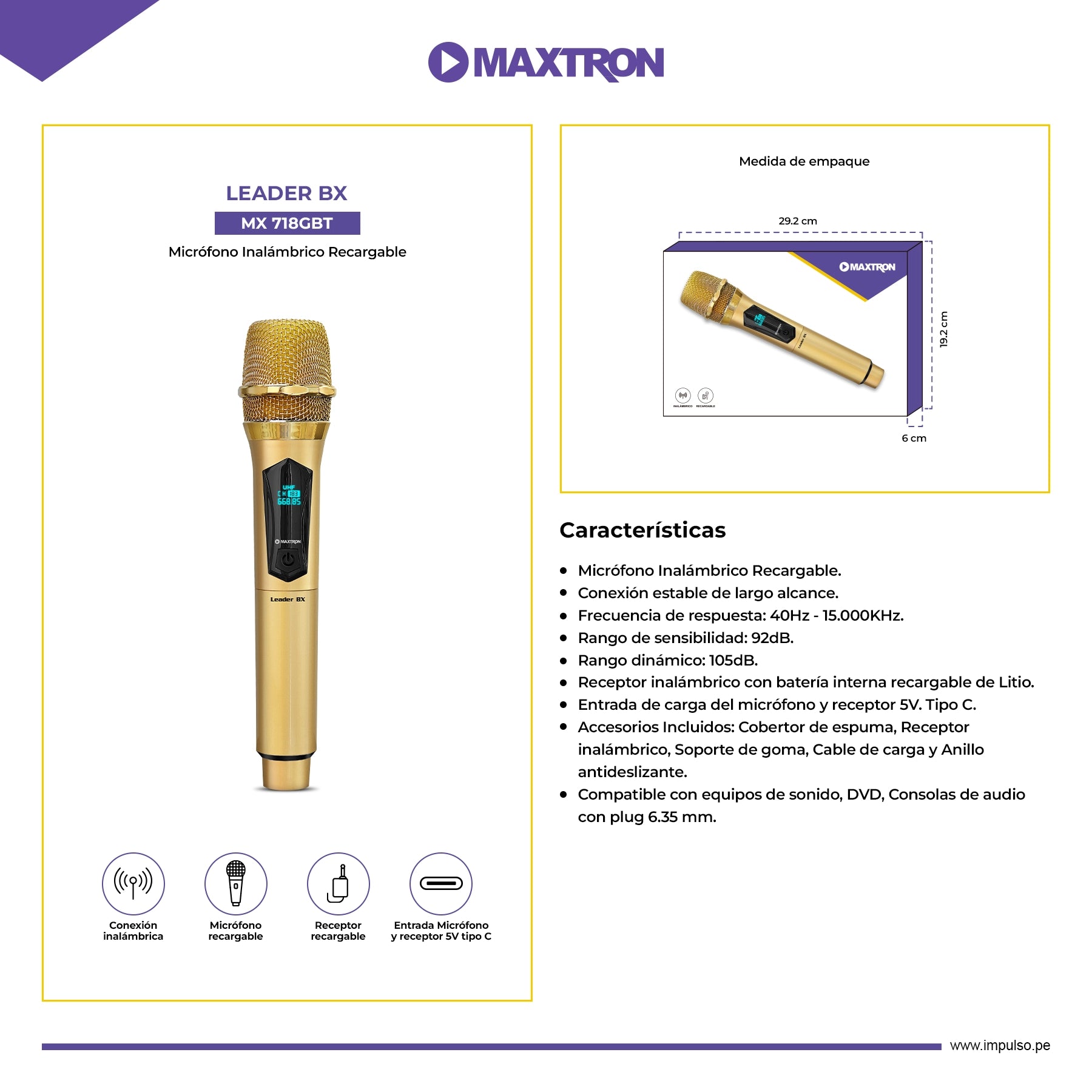 Micrófono Inalámbrico Recargable Leader BX MX 718G-BT
